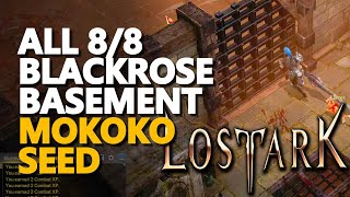 All Blackrose Basement Mokoko Seed Lost Ark [upl. by Ynnahc467]