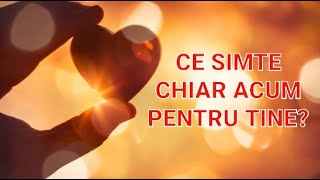 ❤🔥🧲💞 CE SIMTE CHIAR ACUM PENTRU TINE ȘI CONEXIUNEA VOASTRĂ [upl. by Ardnael652]