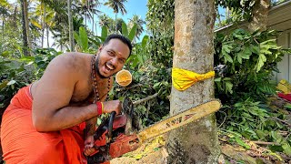 40 വർഷം പഴക്കം ഉള്ള പ്ലാവ്🌳മുറിച്ചപ്പോൾ✂️ [upl. by Eisen]