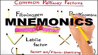 Mnemonic series 1  Clotting factors of common pathway easiest way to remember [upl. by Bolling]