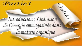 1 Introduction  Libération de l’énergie emmagasinée dans la matière organique ATP [upl. by Rowan]