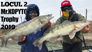 Pescuit la salau La 4cm de locul 1 Mr Kopyto Trophy 2019  Cupa Ligii [upl. by Casi230]