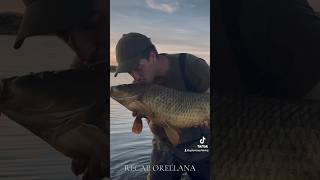 Pescando en Orellana pesca carpa fishing orilla carpangler carp fish peces anzuelo [upl. by Aneahs235]