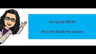 Receptores acoplados a proteínas G GPCRs vía Gq [upl. by Sixela]