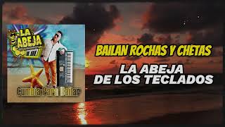 BAILA ROCHAS Y CHETAS • La Abeja De Los Teclados [upl. by Prima]