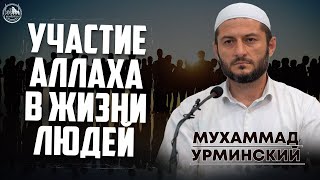 Участие Аллаха в жизни людей  Урминский Мухаммад [upl. by Ahsekim]