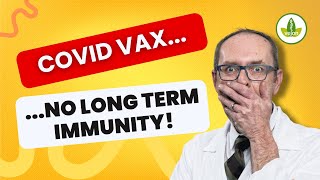 The TRUTH About Covid Vaccine Immunity IMPORTANT [upl. by Novelia]