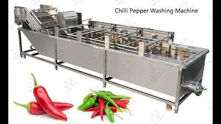 Fully Automatic Chilli Pepper Washing Machine Bubble Type [upl. by Yalc]