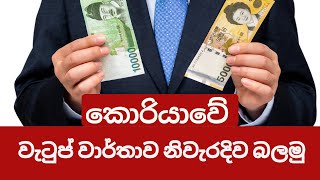 ලක්ෂ ගනන් වැටුප් ගෙවන කොරියාවේ වැටුප් වාර්තාවක ඇතුළත් දේවල්  Contents of a payslip [upl. by Harle955]