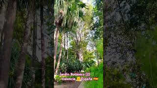 🌿 Jardín Botánico 2 🌴 Valencia 🌞 España 🇪🇦 [upl. by Cinelli]