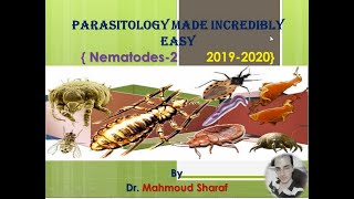 Ancylostoma duodenale and Strongyloides stercoralis Nematodes 2 2019  2020 [upl. by Chapland]