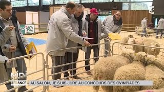 LE FEUILLETON  Au Salon je suis juré au concours des Ovinpiades [upl. by Eelyam179]