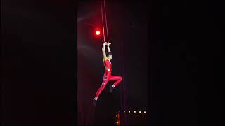 Unforgettable Moments Interactive Circus Show at Taman Safari Prigen East Java Indonesia [upl. by Hasseman633]