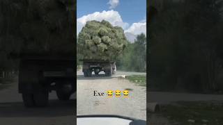 ЛАЙК БОСАМИЗ 👍🏻😂 ДАҲШАТИ ВИДЕОЛАР ФАҚАТ БИЗДА 🇺🇿 [upl. by Einolem217]