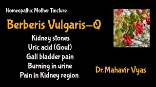 Berberis vulgaris mother tincture  Uses and benefits  DrMahavir Vyas [upl. by Sorkin]