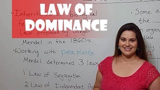 Mendels Law of Dominance [upl. by Karon]