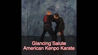 Glancing Salute American Kenpo Karate [upl. by Corabel]