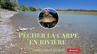 Pêcher la CARPE en RIVIÈRE [upl. by Laniger]