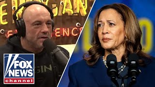 Joe Rogan reveals why Kamala Harris interview didnt happen [upl. by Nace]