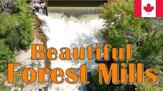 Beautiful Forest Mills Falls in Forest Mills Ontario [upl. by Tyrrell90]