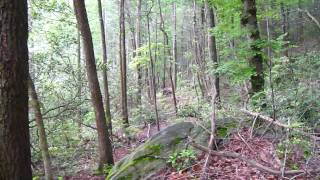 May 2010 Hammock Forums Linville Gorge Hang Part 1 of 2 [upl. by Hamford]