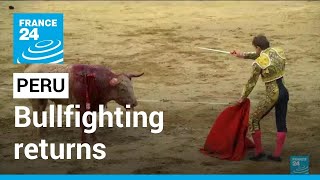 Bullfighting returns to historic Peru arena • FRANCE 24 English [upl. by Adnohsal]