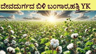 cotton ದೇವದುರ್ಗದ ಬಿಳಿ ಬಂಗಾರಹತ್ತಿ YK  devadurga karnataka cotton farming success story  YK Lab [upl. by Grosberg798]