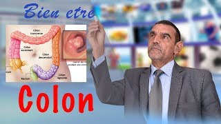 Irritation du colon Bien être Dr Faid Mohamed [upl. by Kcinnay462]