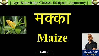 मक्का  Maize  Part  I [upl. by Lemhar]