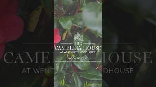 The Camellia House  wentworthwoodhouse [upl. by Cost]