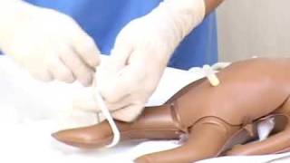 Basic neonatal resuscitation initial steps hindi [upl. by Elissa]