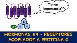 Hormonas 4 📨 Receptores acoplados a proteína G  Ejemplos [upl. by Porche]