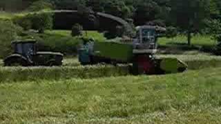 Cutting Whole Crop Triticale With a Claas 900 [upl. by Elad]