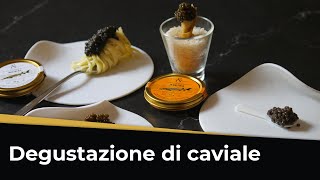 4 idee per APERITIVO CON IL CAVIALE  Beluga Asetra Kaluga e Baikal [upl. by Adnilym]