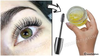 How To Grow Eyebrows and eyelashes FAST Thick and Natural [upl. by Enoyrt]