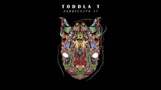 Fabriclive 47  Toddla T 2009 Full Mix Album [upl. by Ahsinert264]