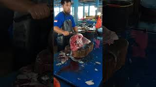 Big and fresh yellowfin tuna cutting skills by tuna cutting master [upl. by Walston314]