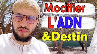 Question amp Réponse Djinns Muslim Modifier votre ADN Le DESTIN [upl. by Nazay]