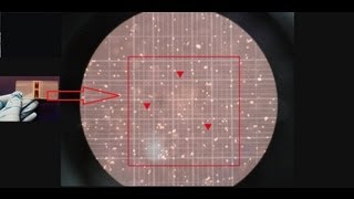 Hemocytometer  Counting of cells  Amrita University [upl. by Mumford]