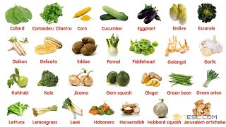 100 Most Popular Vegetables in The World  Learn Names of Different Types of Vegetables in English [upl. by Quar]