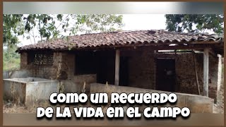 Casita de adobe abandonada en el campo  El Salvador [upl. by Ybor8]