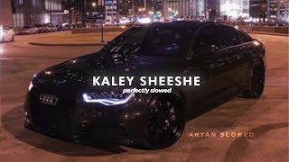 Kaley Sheshe  Perfectly Slowed [upl. by Ariaj235]