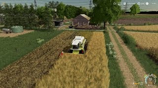 FS19 Starowies Timelapse 17  Starting the canola harvest w Seasons [upl. by Vernor]