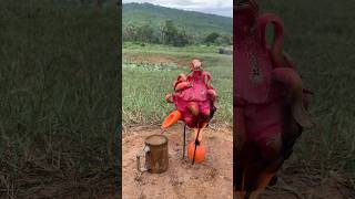 Survival Skills steam bad water in Dragon fruit camping outdoors bushcraft useful [upl. by Douville]