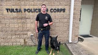 DAY OF TRAINING TULSA POLICE K9 [upl. by Keeton]