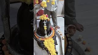 27092024 gambhir se gambhir Rog dur karne ka upay Jay Mahadev youtube shots [upl. by Gibbeon]