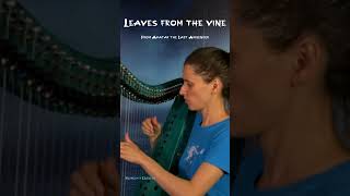 Leaves from the Vine  celtic harp cover livemusic atla avatarthelastairbender celticharp [upl. by Starling833]