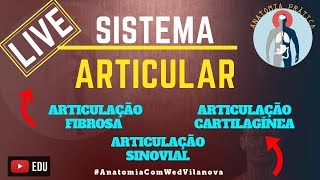 Sistema Articular  Articulações Fibrosas Cartilaginosas e Sinoviais  LIVE Anatomia Prática [upl. by Miharba292]