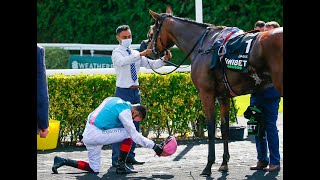 ENABLE The Queen of Turf [upl. by Casilda]