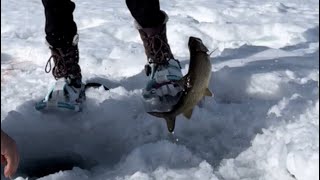 Maine Ice Fishing SCHOODIC Lake [upl. by Lissy]